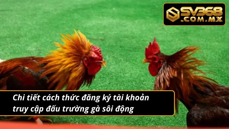Đá Gà Campuchia SV368 – Sảnh Cược Chiến kê Uy Tín Hàng Đầu 4 Chi tiết cách thức đăng ký tài khoản truy cập đá gà Campuchia