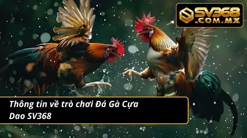 Đá Gà Cựa Dao SV368 – Trải Nghiệm Cá Cược Gà Đỉnh Nhất 2025 2 Thông tin về trò chơi đá gà cựa dao