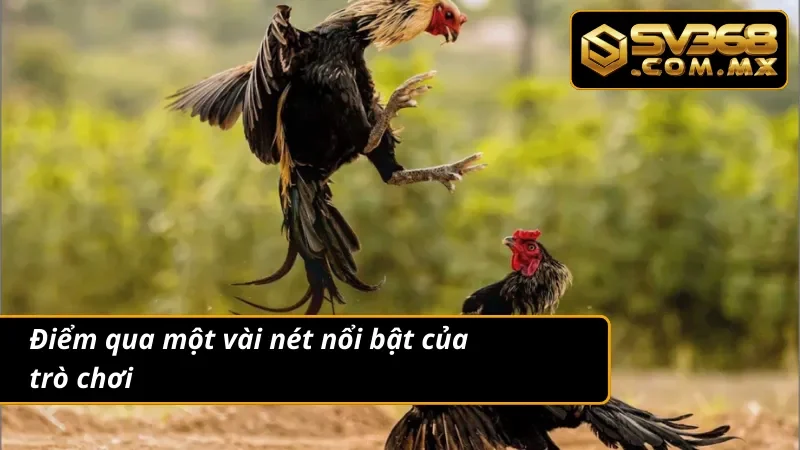 Đá Gà Cựa Dao SV368 – Trải Nghiệm Cá Cược Gà Đỉnh Nhất 2025 3 Điểm qua một vài nét nổi bật trong trò chơi đá gà cựa dao